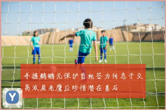 手握鹈鹕无保护首轮签为何急于交易浓眉老鹰应珍惜潜在基石